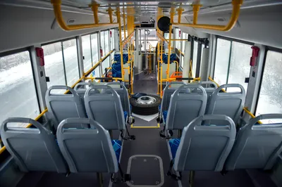 Появились фотографии новых автобусов, прибывших в Петрозаводск: внутри и  снаружи | Фактор - новости Карелии