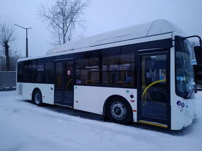 На линии Владимира возвращаются городские автобусы марки «Волгабас» - KP.RU