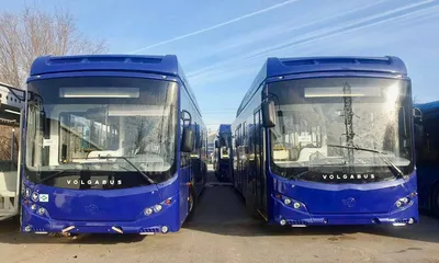Новый Автобусы Volgabus 4298 с ценами от дилеров