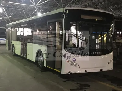 Новые автобусы и крупные заказы: Volgabus запускает серийные инновации на  дороги России - 20 ноября 2020 - v1.ru