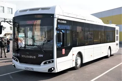 Производитель Volgabus должен Перми еще 31 автобус – Коммерсантъ Пермь