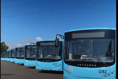 На маршруты Волгограда выйдут модернизированные автобусы «Волгабас» | ИА  «ВолгаПромЭксперт» | Дзен