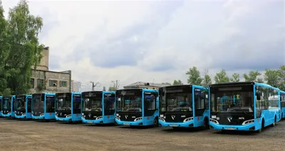 Производство туристических автобусов ГАЗ и «Волгабас» запустят в 2024 году