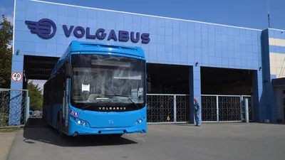В Петербурге временно приостановят эксплуатацию автобусов Volgabus |  Sobaka.ru
