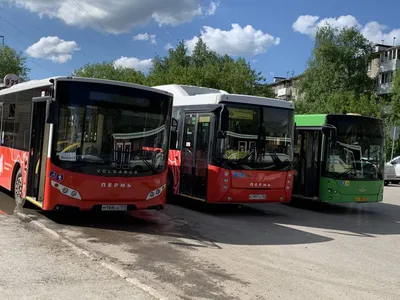 Какие автобусы должны появиться в Астрахани в январе | АРБУЗ