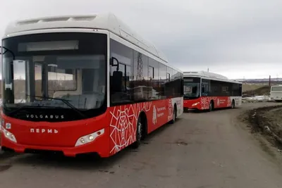 Техобслуживание автобусов Volgabus оценили в 34,7 млн рублей в год