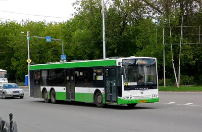 Volgabus завершил выполнение крупнейшего контракта | Журнал СпецТехника и  Коммерческий Транспорт