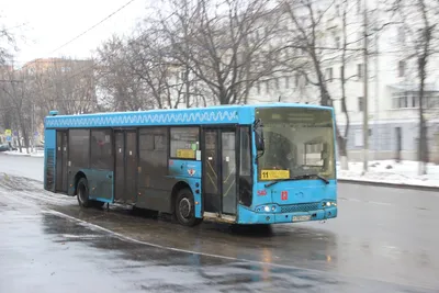 Новые автобусы «Волжанин», ЛАЗ, Uzotoyol, Scania, Hyundai