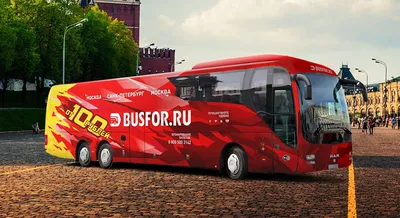 Как я свои деньги у Busfor.ru возвращал. Предостережения длиннопост. |  Пикабу