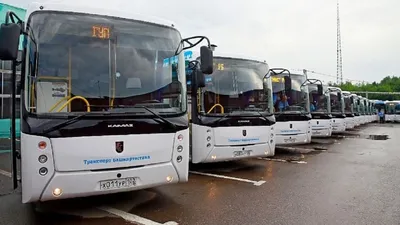Весной – 100, летом – еще 54. МАЗ наращивает поставки своих автобусов в  Санкт-Петербург - Минск-новости