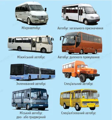 Автобусы NEOPLAN Cityliner в Москве | технические характеристики и цена