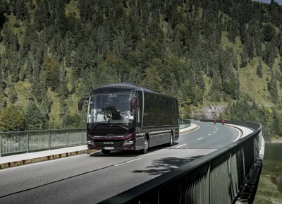 В Испании автобусы дальнего следования будут бесплатными - АЗЕРТАДЖ