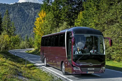В Омске появилось 38 новых автобусов для дальнего следования | ОБЩЕСТВО |  АиФ Омск