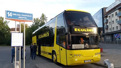 Автобусы между Хельсинки и Петербургом запустят 15 июля - Финляндия