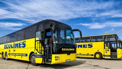 Международные автобусы Ecolines - «Автобусы ECOLINES открыли для меня мир  бюджетных и комфортных путешествий по Европе!» | отзывы