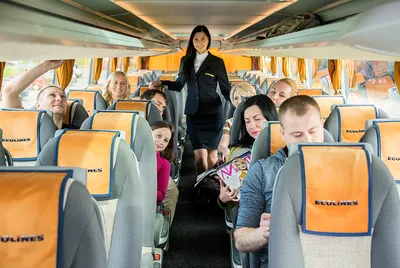 Автобусы «Эколайн рус» свяжут Карелию с 19 странами Европы -  Рамблер/путешествия