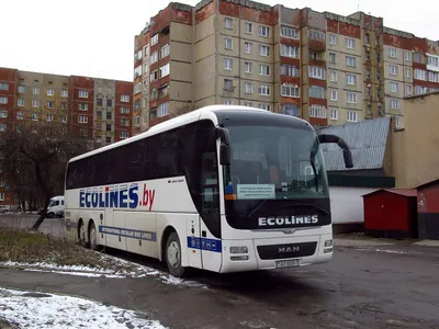 Автобус Санкт-Петербург — Пярну (Эстония) купить билет