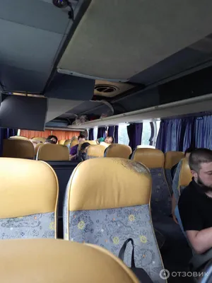 Из Петербурга запускают автобусные рейсы в Эстонию и Финляндию — РБК