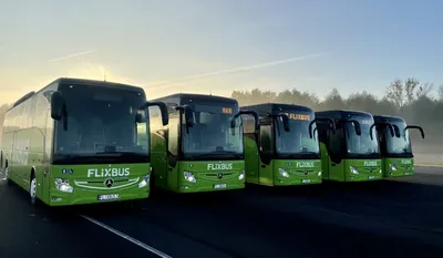 FlixBus - It's time for the summer holiday hunt! Who doesn't love planning  holidays ahead? 😎 All the daydreaming during working hours, the endless  google searches trying to find the coolest local