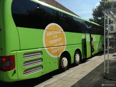 Как комфортно и дешево передвигаться по Европе: автобус Flixbus