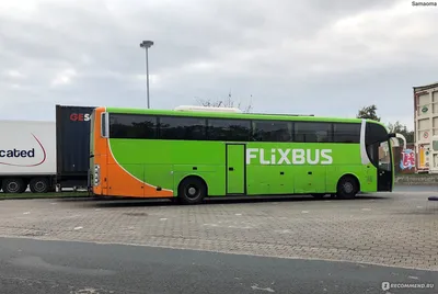 flixbus How to get a #flixbus in #Europe #budgettravel #bustravel #so... |  TikTok