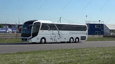 Автобусы Фликсбас – отзывы. Положительное и отрицательное в путешествиях на  автобусе | Путешествуй дешево!
