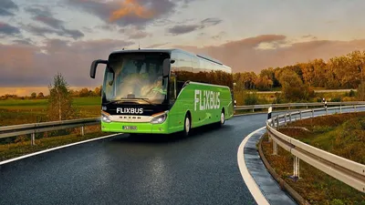 It's a bus! #FlixBus #Flix #FlixBaby | TikTok