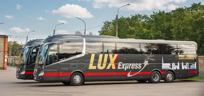 Lux Express подвел итоги 2019 года: число пассажиров на петербургских  рейсах выросло на 10% - Business Daily