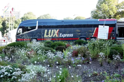 Lux Express временно сокращает число международных рейсов - Delfi RU