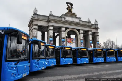 Автобусы москвы фото 