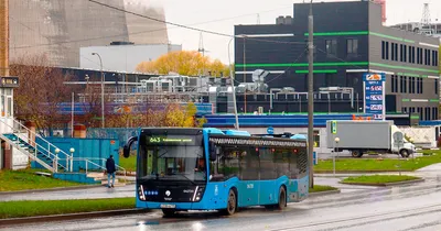 Ночные автобусы Москва - Ради Любви