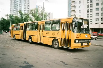 В Москве с 20 ноября 2021 меняют номера автобусов и добавляют новые  маршруты - KP.RU