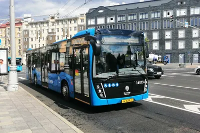 Новый автобус НефАЗ в Москве: с точки зрения пассажира — Авторевю