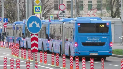 До конца года на городские маршруты выйдет более 400 новых автобусов –  Москва 24, 15.07.2020