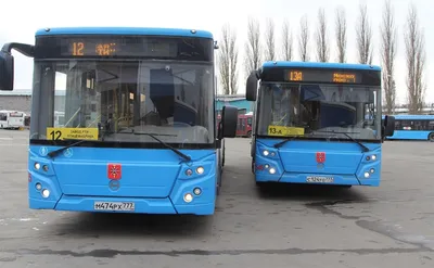 Коммерческие перевозчики подготовят 2 тысячи новых автобусов к выходу на  маршруты столицы - Единый Транспортный Портал