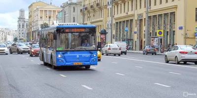 Автобусы из Москвы вышли на 11 донецких муниципальных маршрутов - Эксклюзив  - ДАН