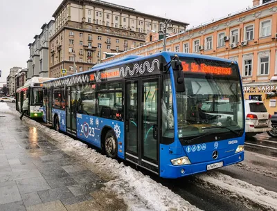 Маленький МАЗ для большого города: знакомимся с новым белорусским автобусом  в Москве — Авторевю