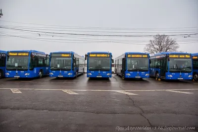 Россияне массово пожаловались на переполненные автобусы - Мослента