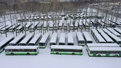 К 100-летию московского спорта в столице запустили тематические автобусы