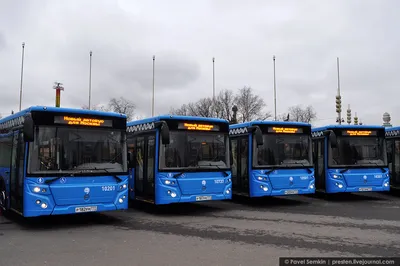 Автобусы без турникетов появятся еще на четырех маршрутах в Москве | МОЙ  РАЙON