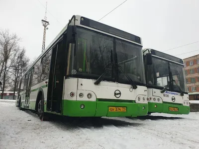 Из Москвы в Ялту начали ходить автобусы