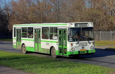 Старые московские автобусы Mercedes восхитили россиян - Мослента