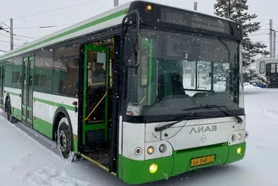 Автобусы-призраки в Москве: что делать, если транспорт работает не по  расписанию, куда жаловаться, обязанности перевозчиков и права пассажиров -  1 февраля 2023 - msk1.ru