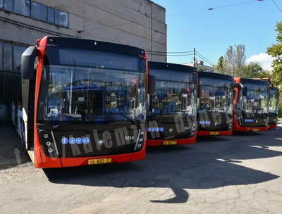Автобусы и трамваи Москвы украсят триколорами к 4 ноября - KP.RU