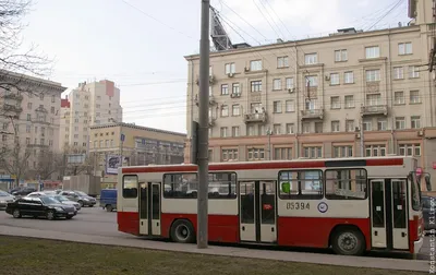 Ночные автобусы перевезли 11 млн пассажиров в Москве Автомобильный портал 5  Колесо