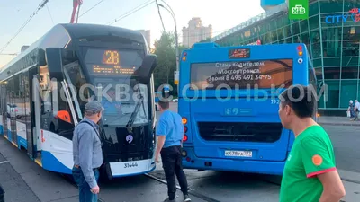 В Крым из Москвы на автобусе. Новый взгляд и море впечатлений - РИА Новости  Крым, 16.06.2022