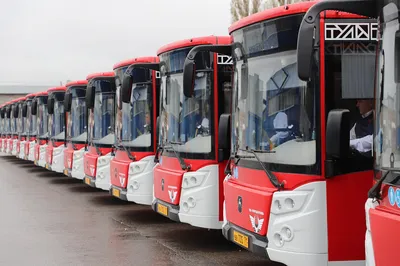 124 новых российских автобуса для Тулы: Обновление продолжается -  ТЕХНОСФЕРА РОССИЯ
