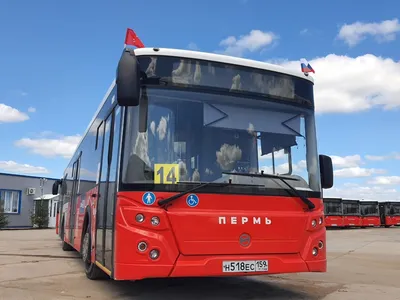 Компания «РТ Лайн» будет украшать автобусы во время национальных и  государственных праздников России | «Новый компаньон»
