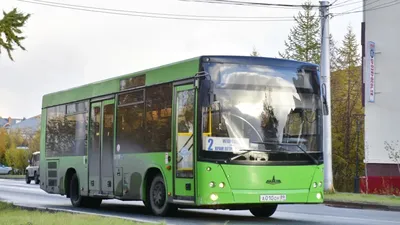 Автобусы на водородном топливе появятся в России | Ямал-Медиа