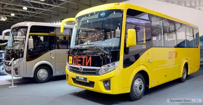 Низкопольный городской автобус среднего класса Kursor и автобус малого  класса «Вектор NEXT»